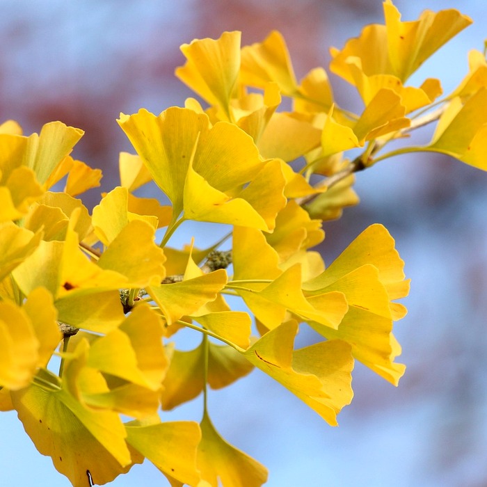 포스트시즌 야구 팬