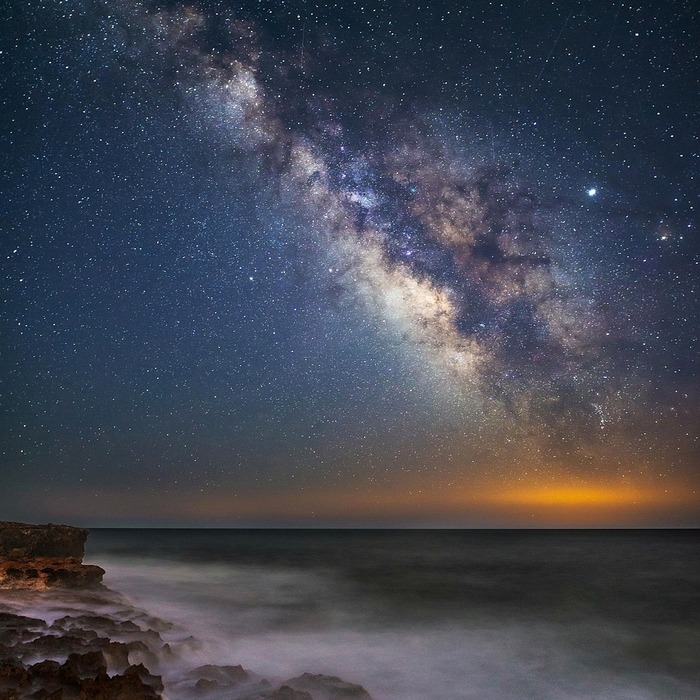 황화코스모스 만개