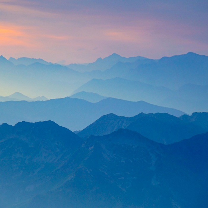 보장 범위 종류