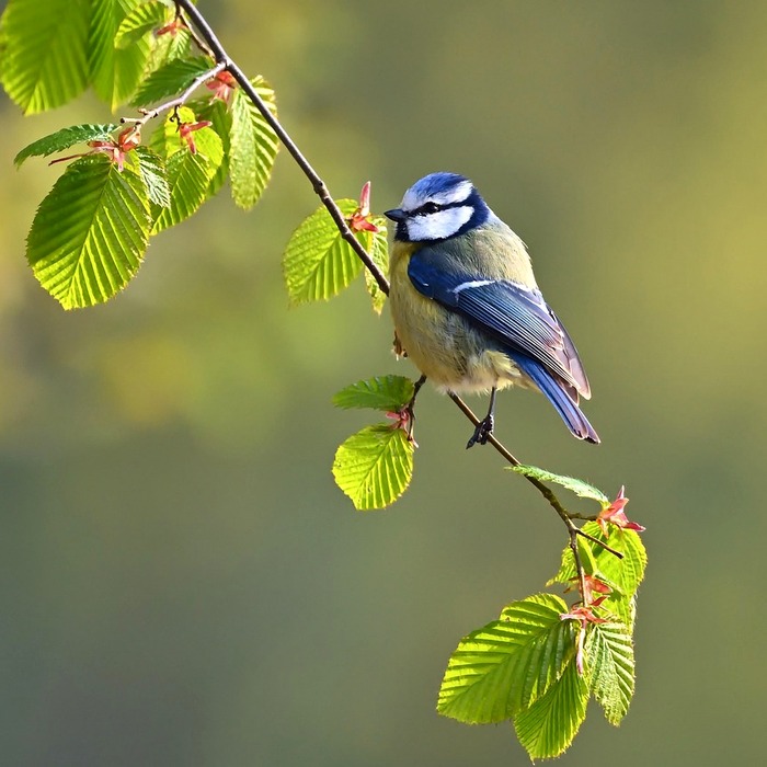 가슴 웜업 운동