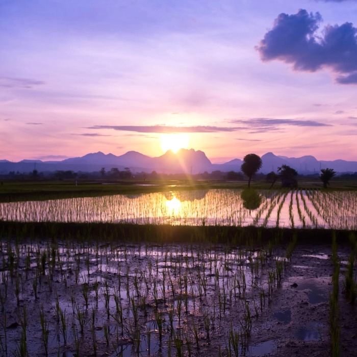 개통 시기 변동