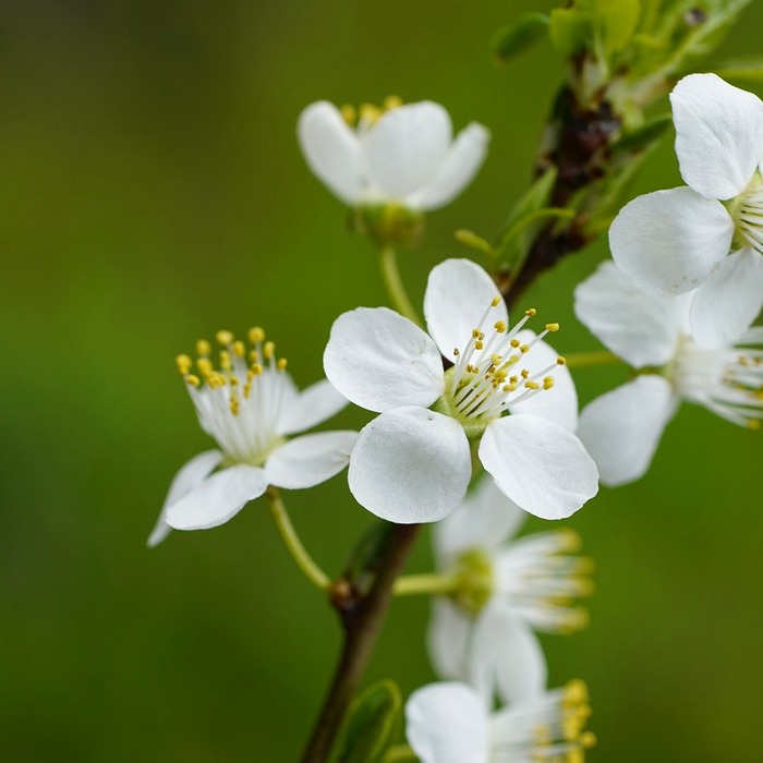 선조 출생 배경