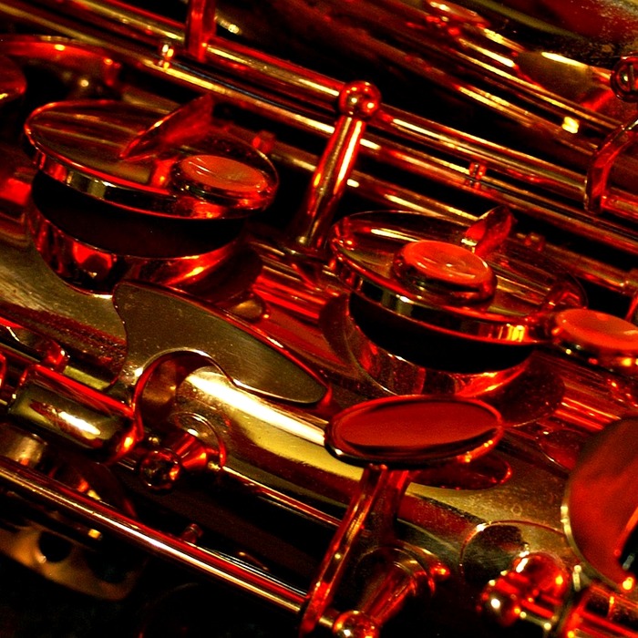 회충약 작용 메커니즘