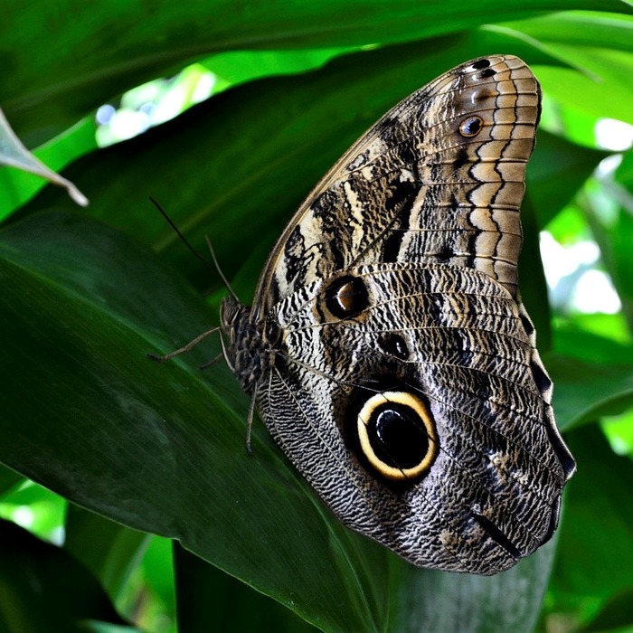 거미 서식 환경