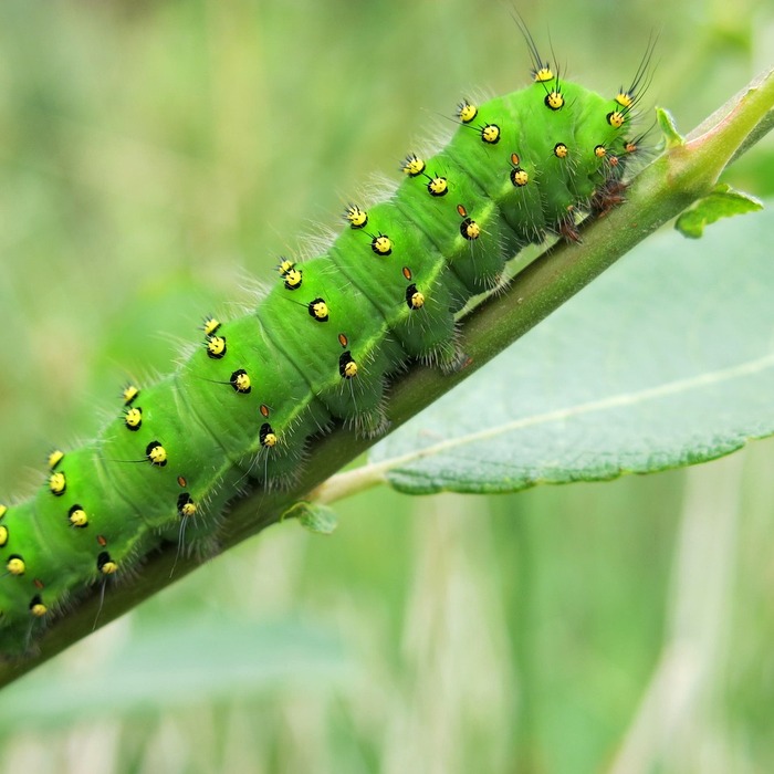 모르는 남성 연락