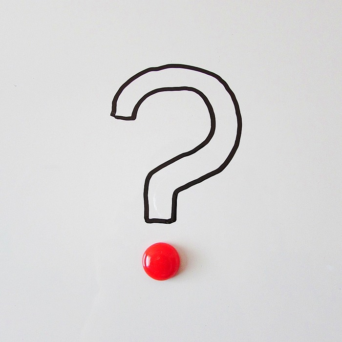 의도 파악 질문