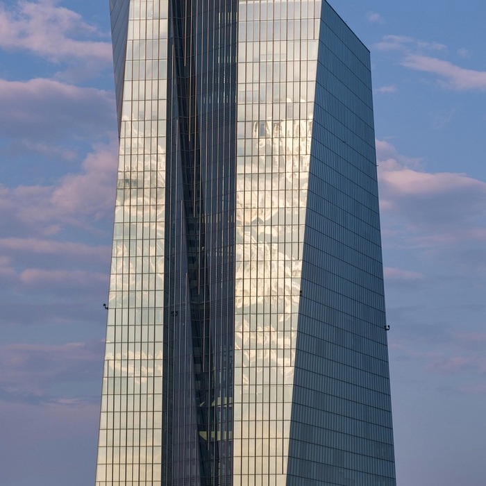 중앙은행 디지털 화폐