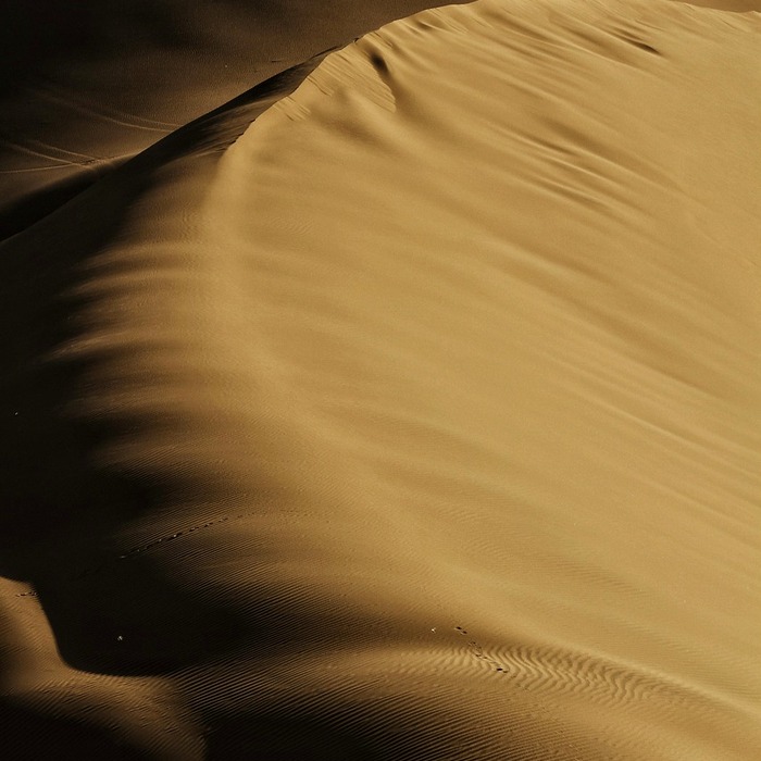 성격 차이 분석