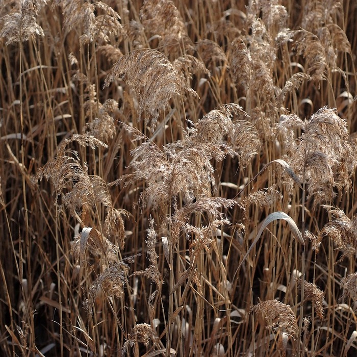 순천 타요키즈카페