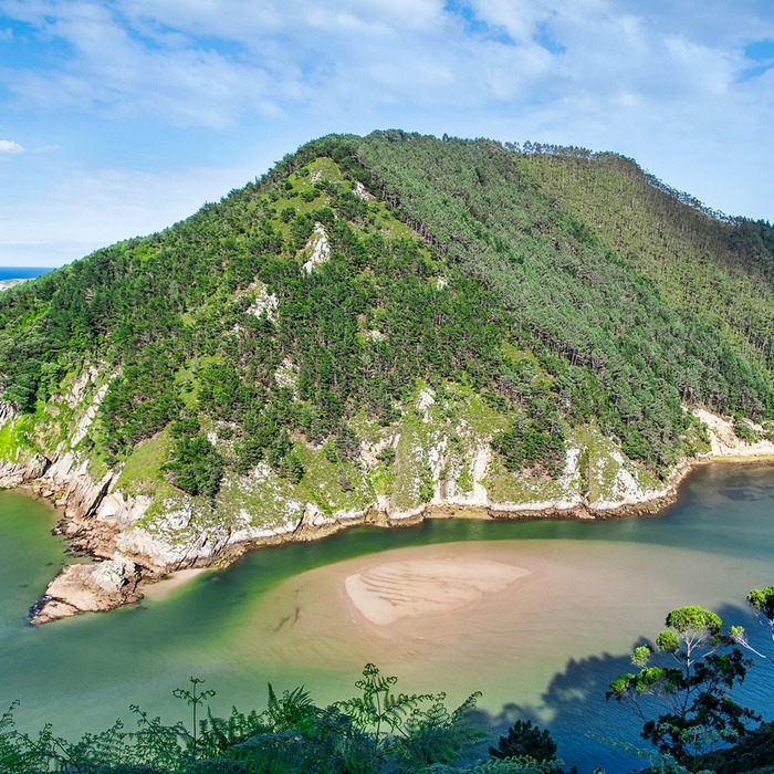 귀어귀촌 정착금