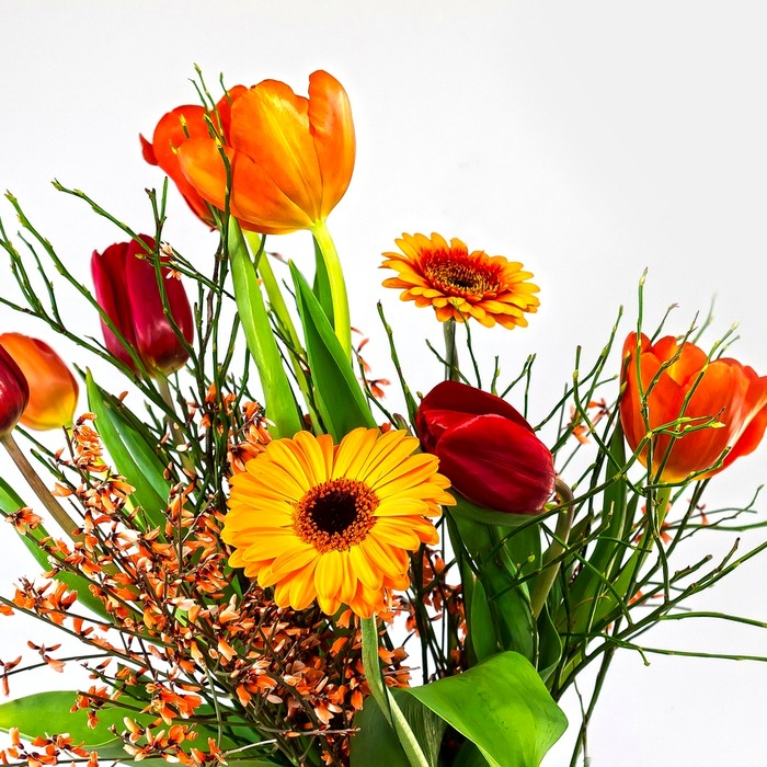 여성 생식기 감염