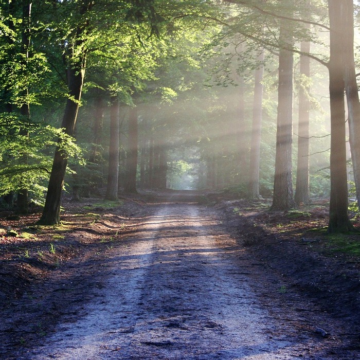 성관계 전염 경로