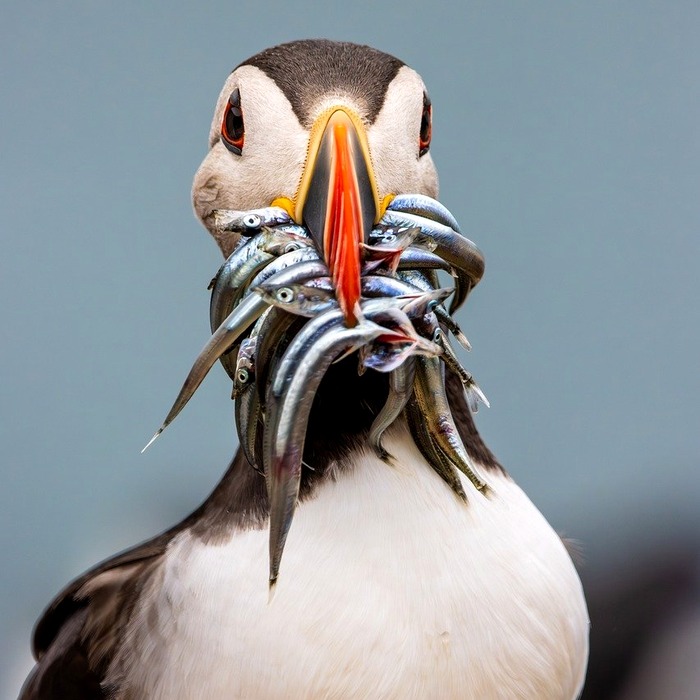 설치 도구 확인