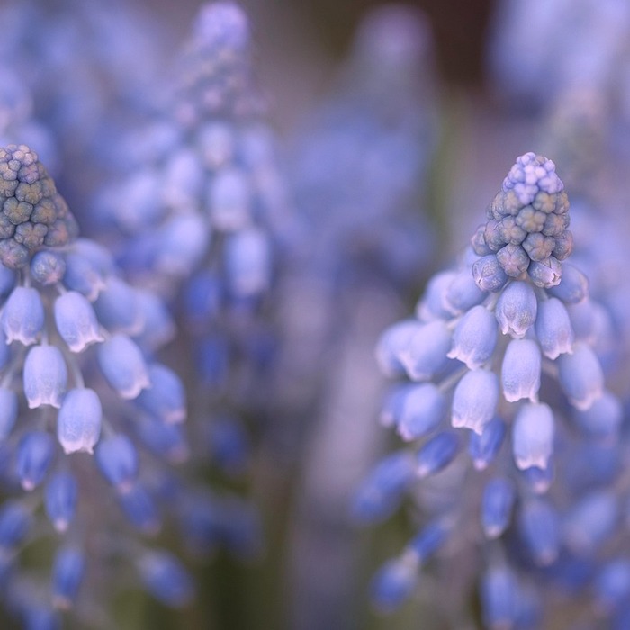 초기 재활 단계