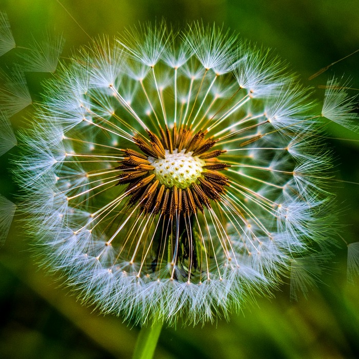 스미다아이코 전경