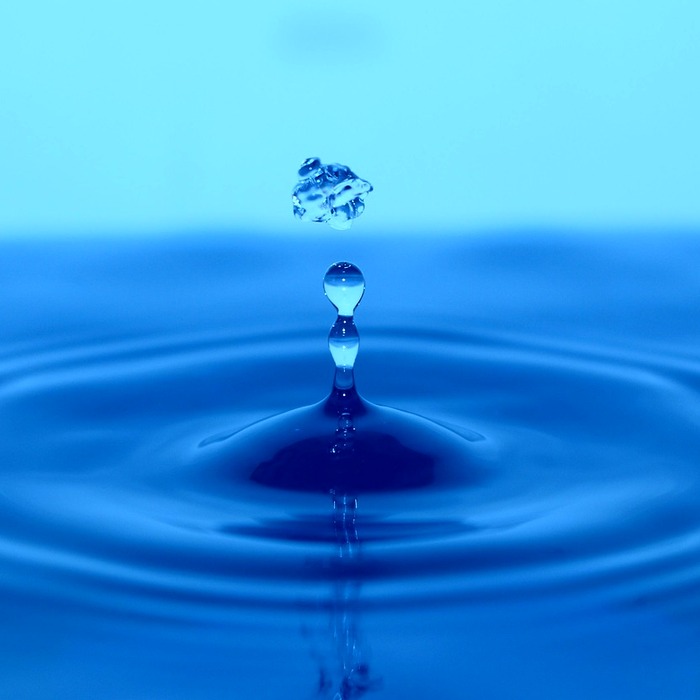 전세자금대출 종류