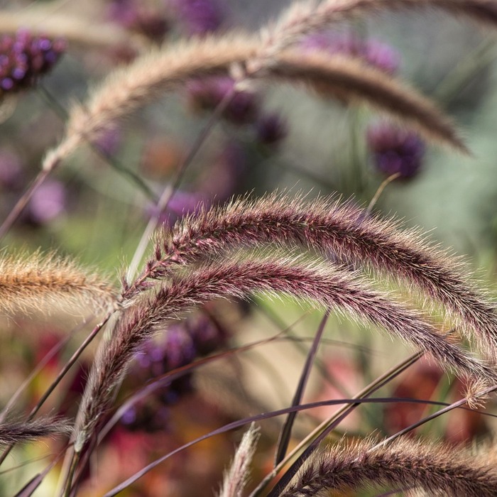 대출 신청 서류