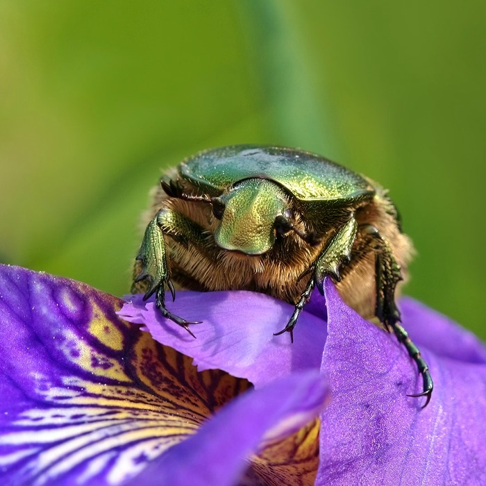 벌레 방충망 설치