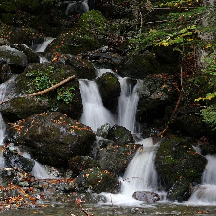 느린 걷기 속도