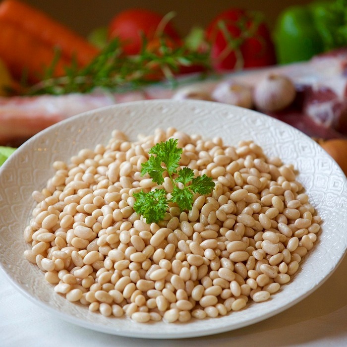 신장 혈관 건강