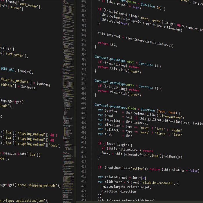 자연 체험 프로그램