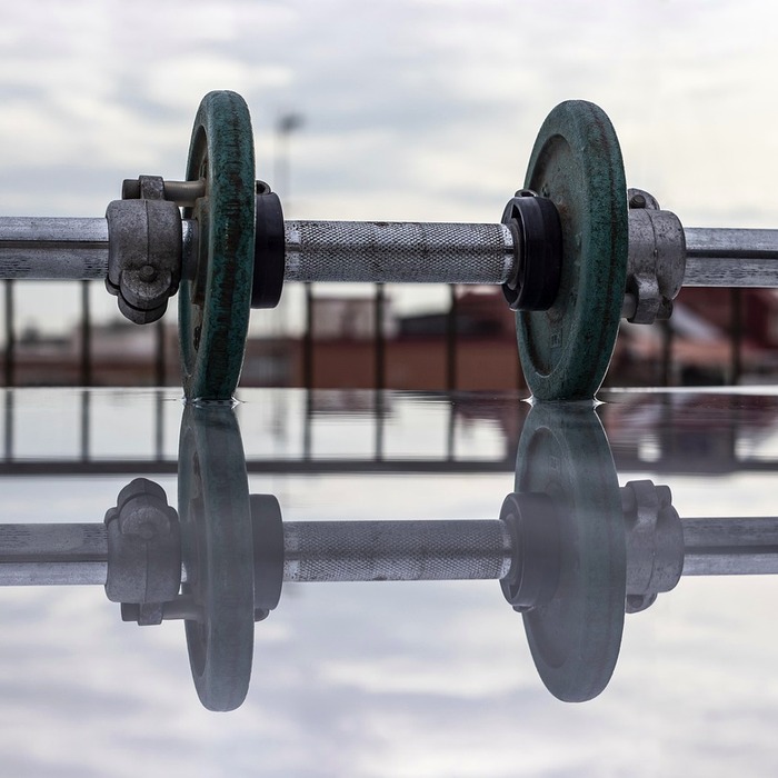 근력 운동 효과