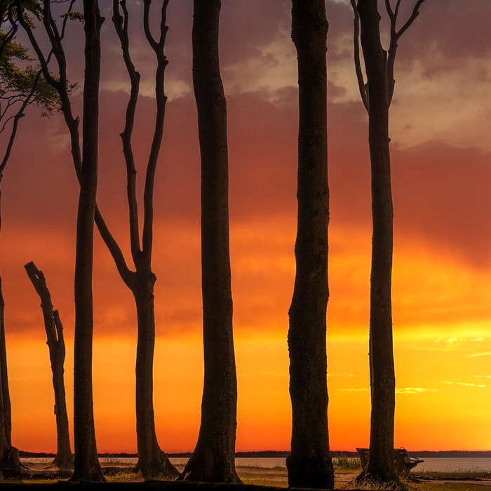 전세자금대출 개요