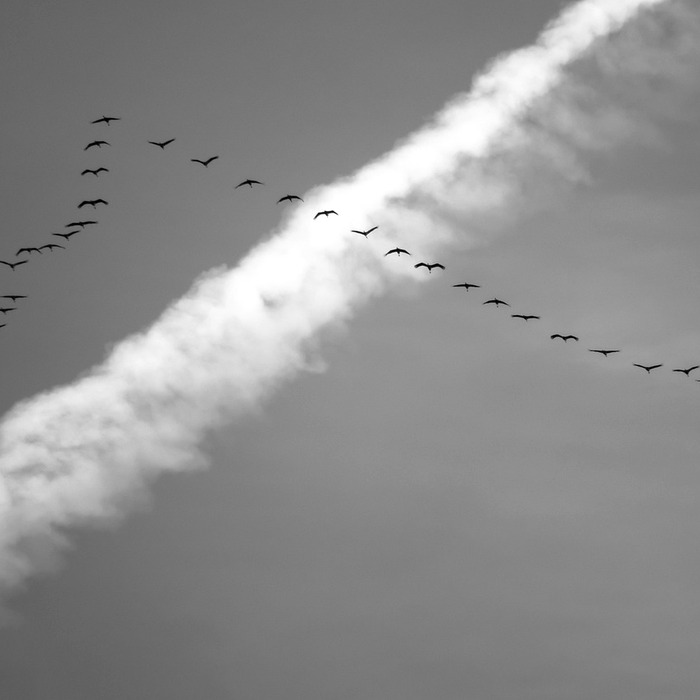 국립과학관 체험
