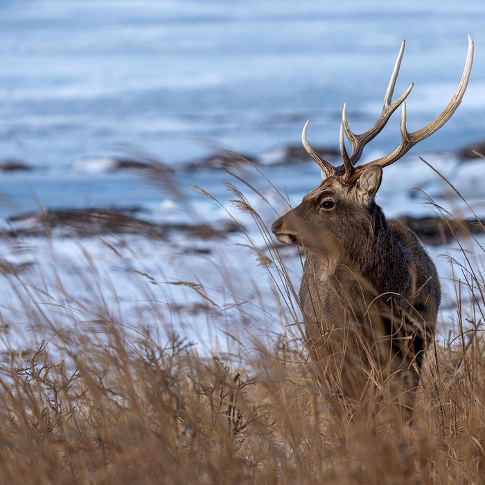 사회적 책임 활동