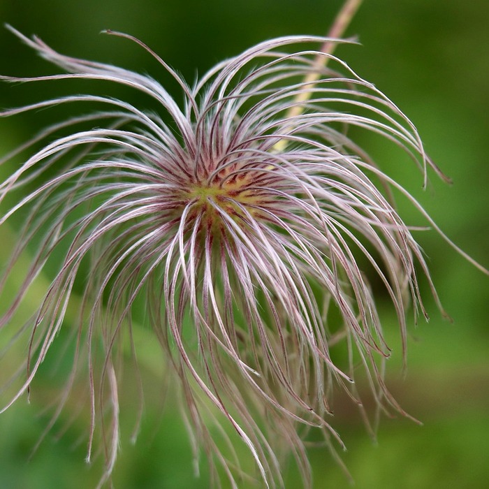 2025년 연봉 순위