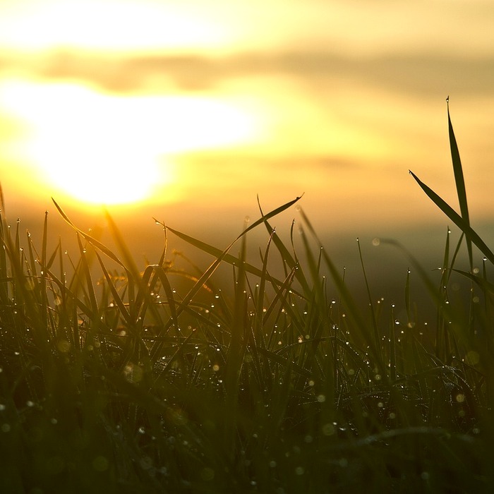 새로운 인연 만남