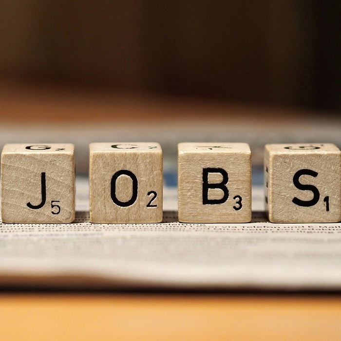 직업 변화 기회