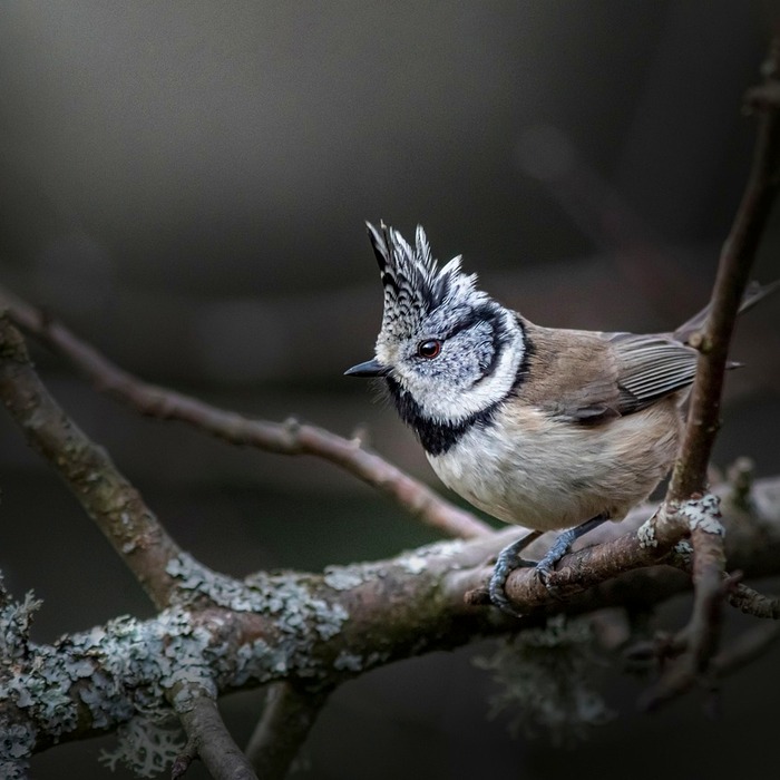 가슴 여드름 원인