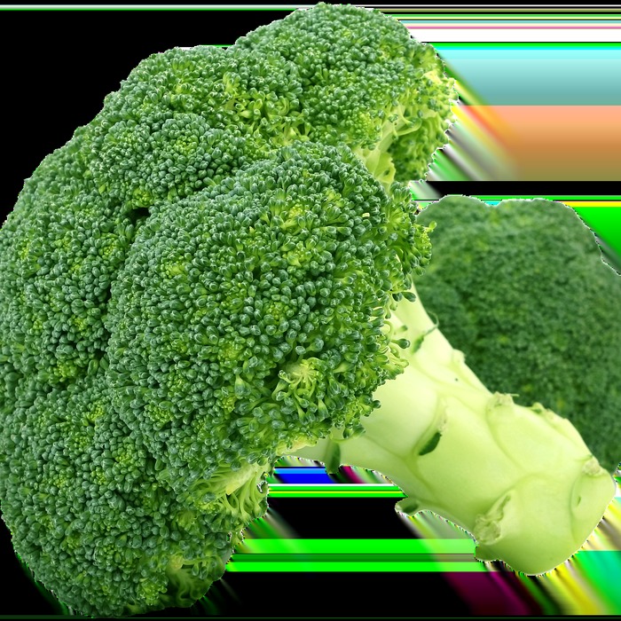 브로콜리 세척 과정