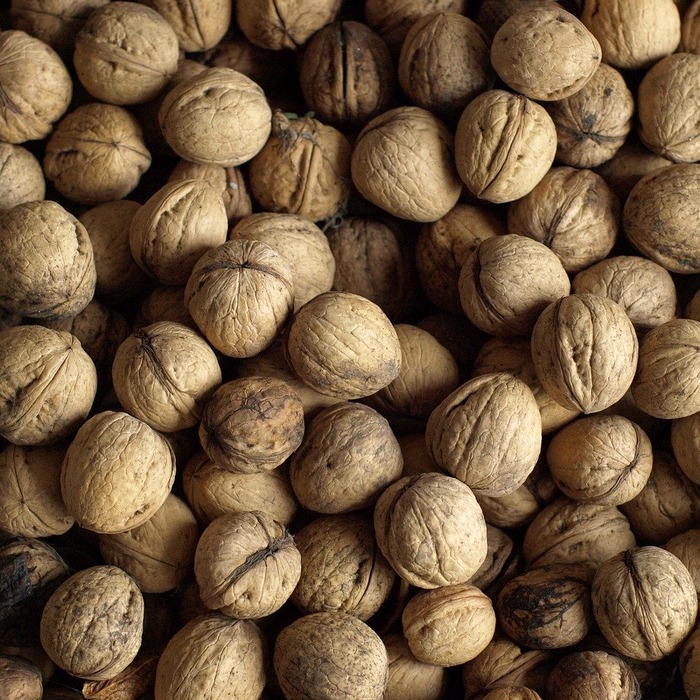 정신 건강 영양소