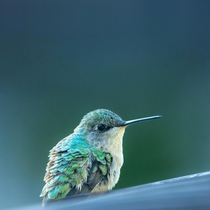 모바일 야구게임