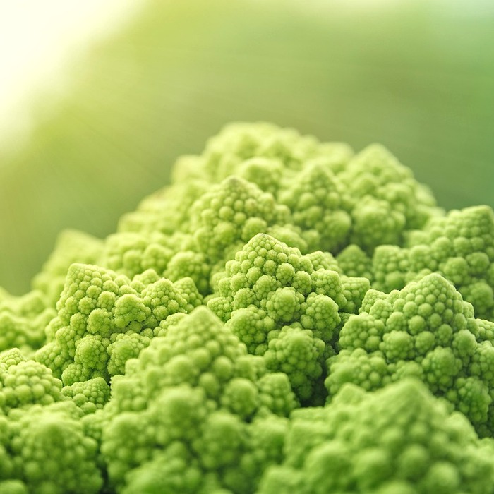 채식주의자 표지