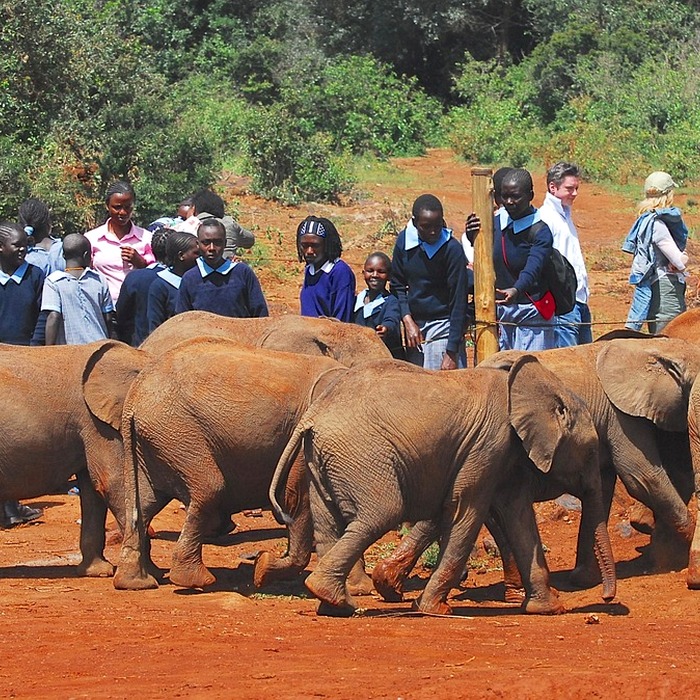 고아원 봉사활동