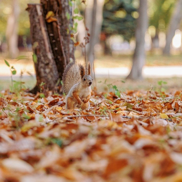 호기심 많은 사람