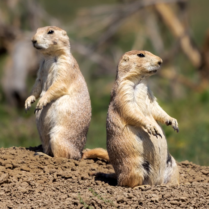 사교적인 대인관계