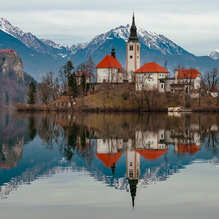 잇몸 출혈 증상