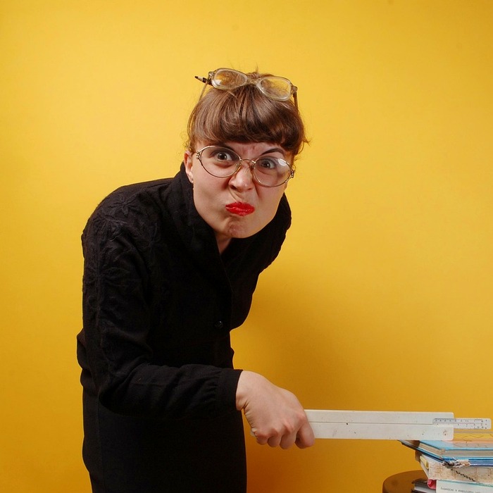 정희 경력 배경