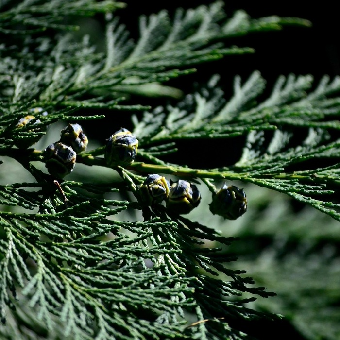 영화 투자 관리