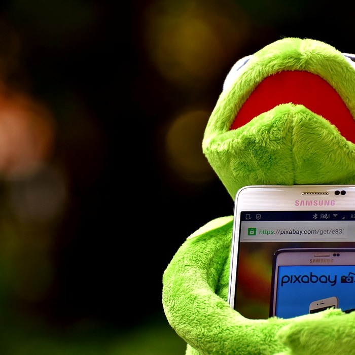 데이터베이스 접근 권한