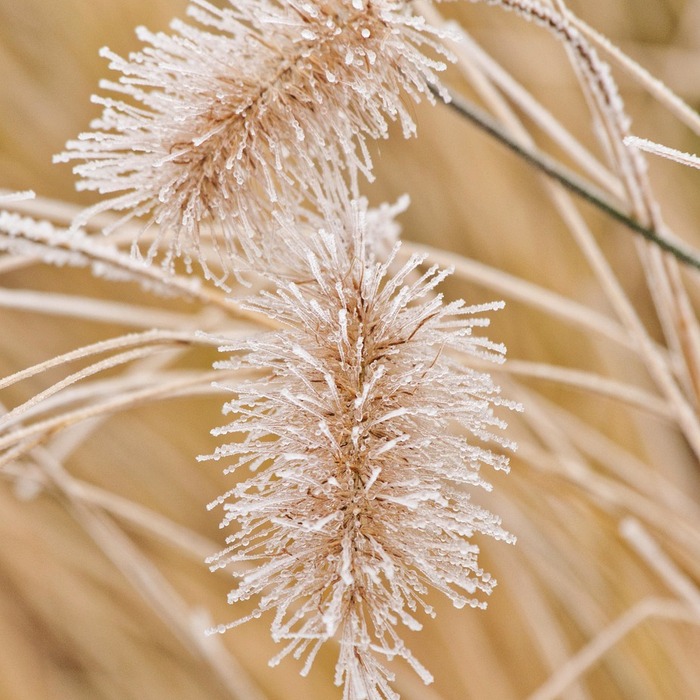 모바일 교통카드 신청