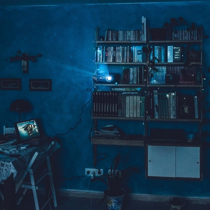 EaseUS 동영상 다운로더