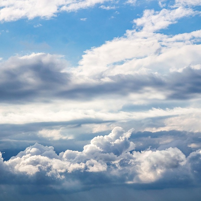 산소 운반 과정
