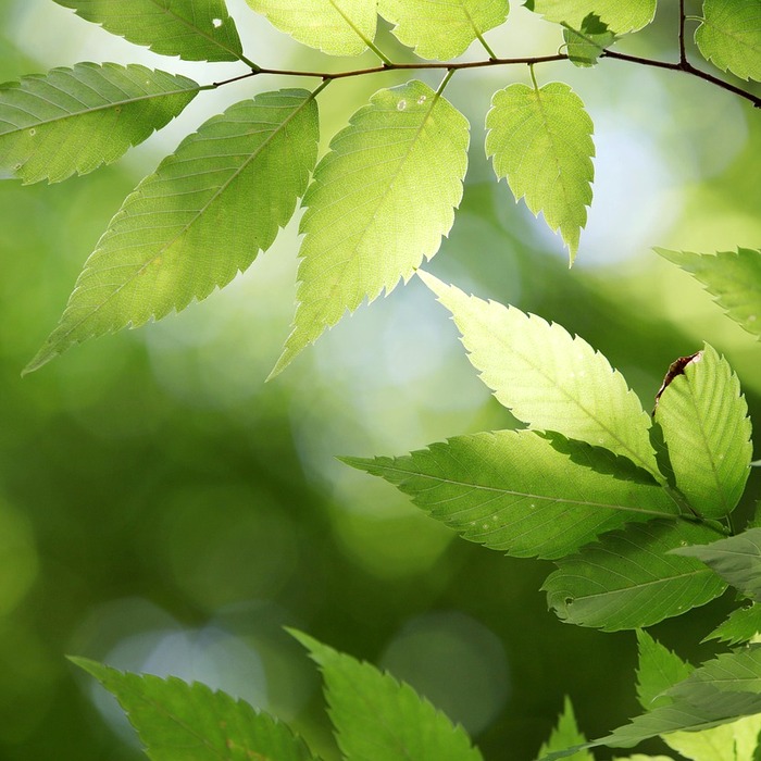 수협중앙회 개요