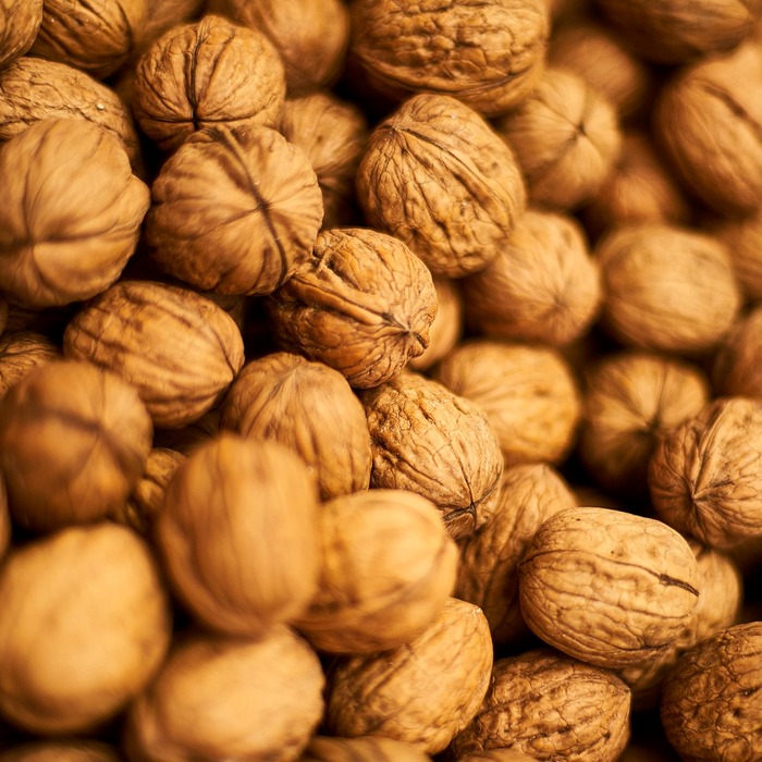 생리 중 식습관