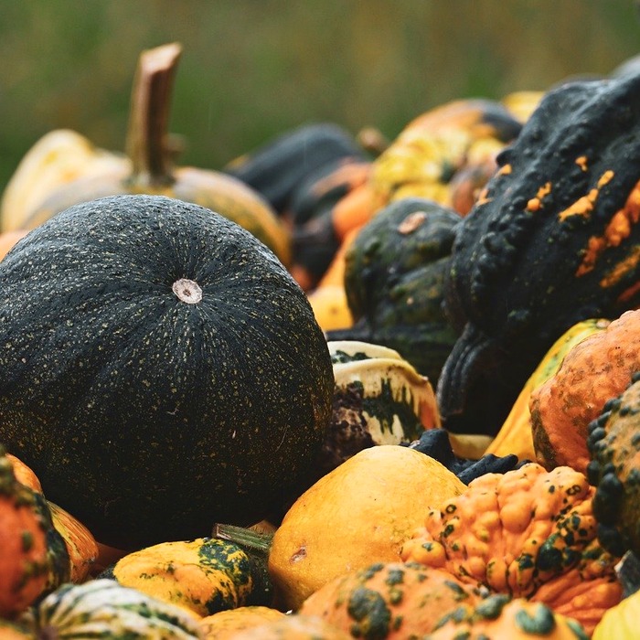 손톱 울퉁불퉁 원인